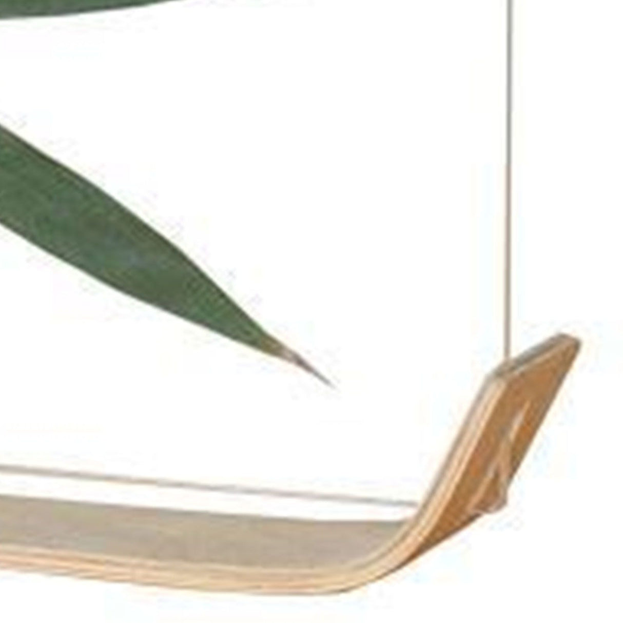 Desktop Plant Specimen Frame Wooden Acrylic Simple Modern Photo Frame Desktop Ornament Home Decoration