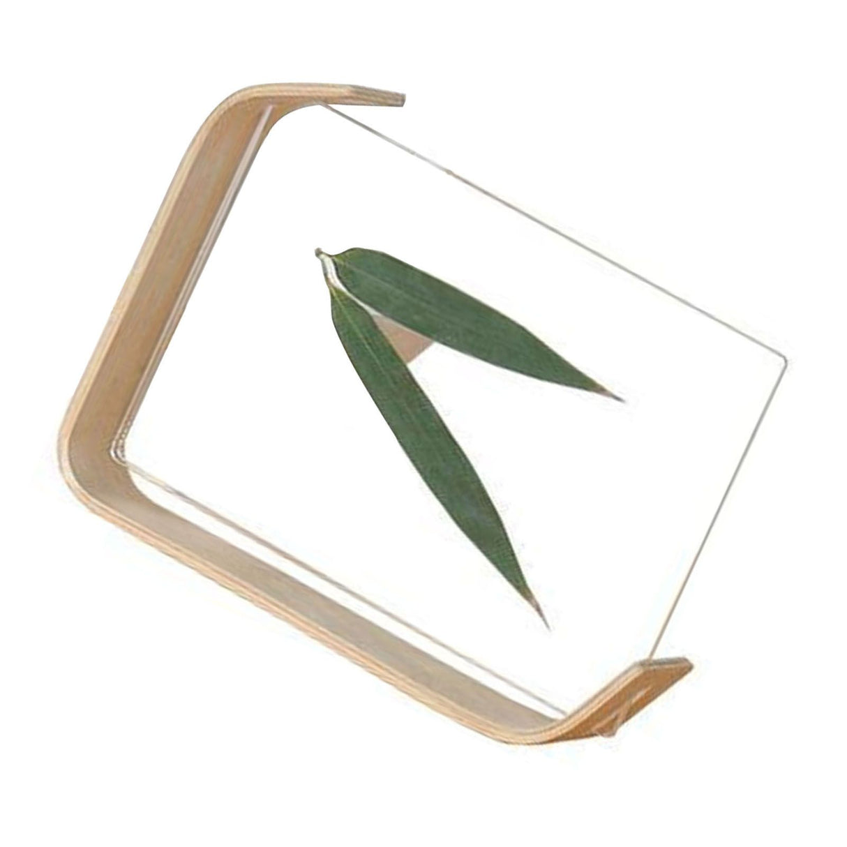 Desktop Plant Specimen Frame Wooden Acrylic Simple Modern Photo Frame Desktop Ornament Home Decoration