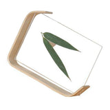 Desktop Plant Specimen Frame Wooden Acrylic Simple Modern Photo Frame Desktop Ornament Home Decoration - Extra Image