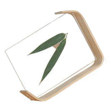 Desktop Plant Specimen Frame Wooden Acrylic Simple Modern Photo Frame Desktop Ornament Home Decoration - Extra Image