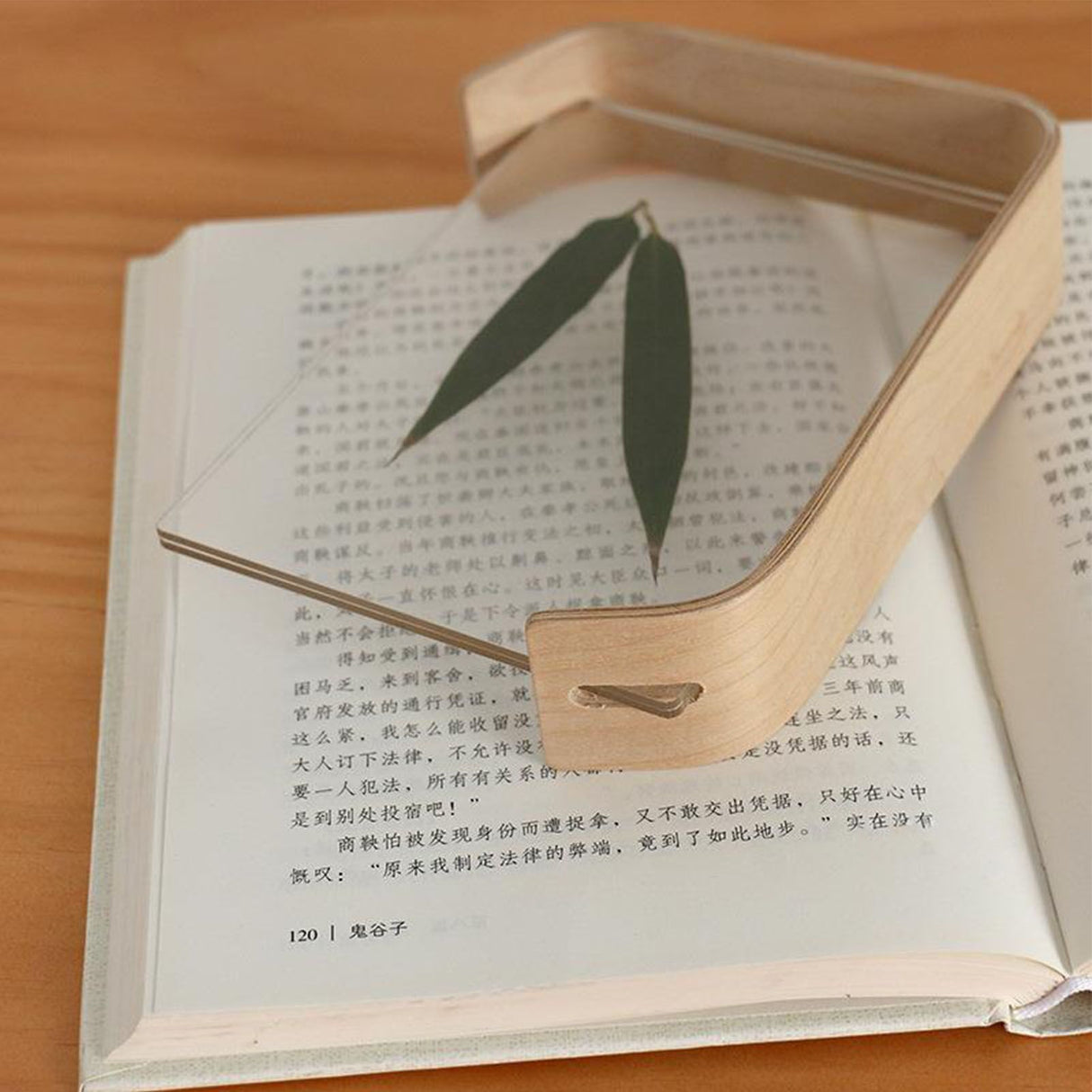 Desktop Plant Specimen Frame Wooden Acrylic Simple Modern Photo Frame Desktop Ornament Home Decoration