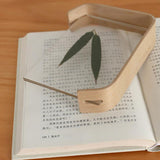 Desktop Plant Specimen Frame Wooden Acrylic Simple Modern Photo Frame Desktop Ornament Home Decoration