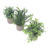 3 Pack Artificial Pot Plant Decorative Fake Faux Potted Eucalyptus Plants for Desktop Office - Top-Down View