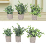 3 Pack Artificial Pot Plant Decorative Fake Faux Potted Eucalyptus Plants for Desktop Office