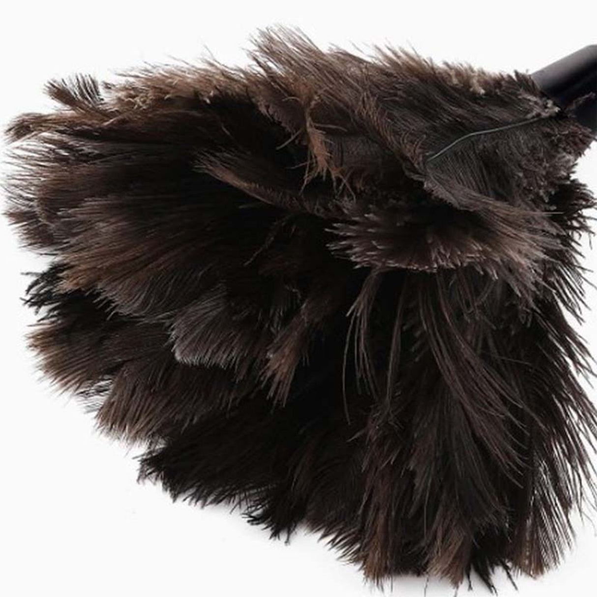 Feather Dusters Brown Washable Portable Compact Chicken Feathers ABS Mini Duster with Handle for Household