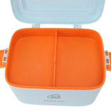 Large Medicine Storage Box Organizer Container Family Emergency Medicine Case with Removable Tray Type A