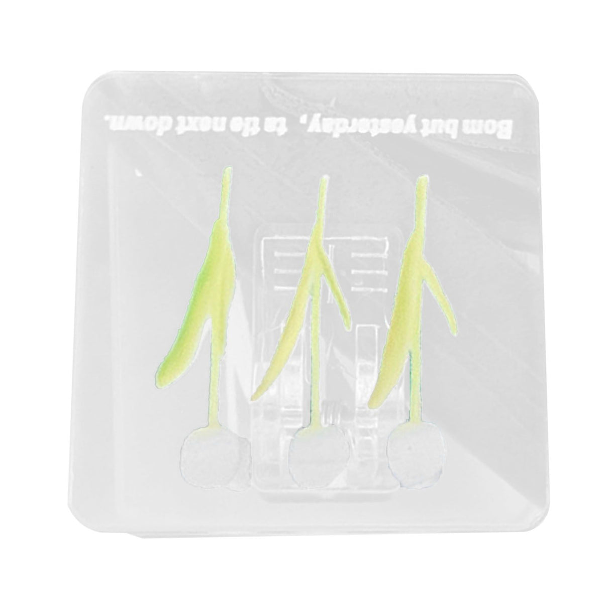 Double Sided Photo Clip Acrylic Tulip Pattern Multifunctional Transparent Paper Clamp for Organization Light White