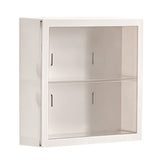 Wall Mounted Showcase Blind Box Figures Display Case Handicraft Storage Display Rack Dust Proof Doll Toy Storage Box White