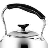 Whistling Kettle Stainless Steel Boiling Audible Alarm Large Opening Stovetop Teapot with Tea Filter 2L