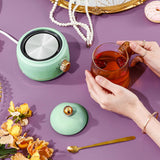 Portable Electric Kettle Stew Cup 450ML Health Cup Mini Slow Cooker Kettle Office Flower Teapot Split Tea Boiler AU Plug 220V Macaron 450ml