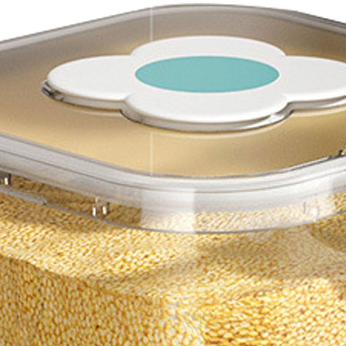 Rice Container Airtight Grain Food Storage Box Transparent with Cover for Home Kitchen Transparent 5kg / 11.02lb