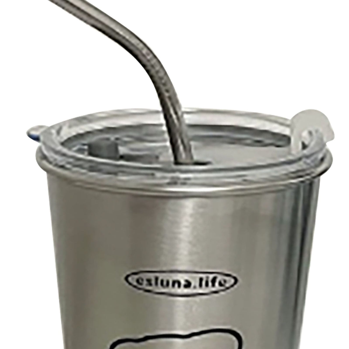 Stainless Steel Cold Tumbler 500ml with Metal Straws Lid Iced Coffee Travel Mug for Coffee Water Tea Loving Dog