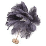 Ostrich Feather Table Lamp Rechargeable Modern Romantic Decoration Lamp Bedroom Bedside Lamp for Home Decoration Grey
