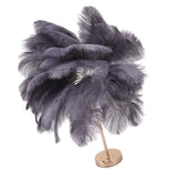 Ostrich Feather Table Lamp Rechargeable Modern Romantic Decoration Lamp Bedroom Bedside Lamp for Home Decoration Grey