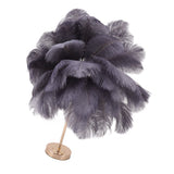 Ostrich Feather Table Lamp Rechargeable Modern Romantic Decoration Lamp Bedroom Bedside Lamp for Home Decoration Grey - 45-Degree Angle