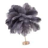 Ostrich Feather Table Lamp Rechargeable Modern Romantic Decoration Lamp Bedroom Bedside Lamp for Home Decoration Grey - Extra Image