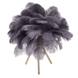 Feather Table Lamp USB Rechargeable Ostrich Feather Desk Light with Gold Tripod for Bedroom 40Pcs Artificial Feather Grey