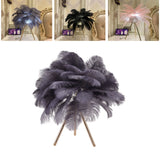 Feather Table Lamp USB Rechargeable Ostrich Feather Desk Light with Gold Tripod for Bedroom 40Pcs Artificial Feather Grey