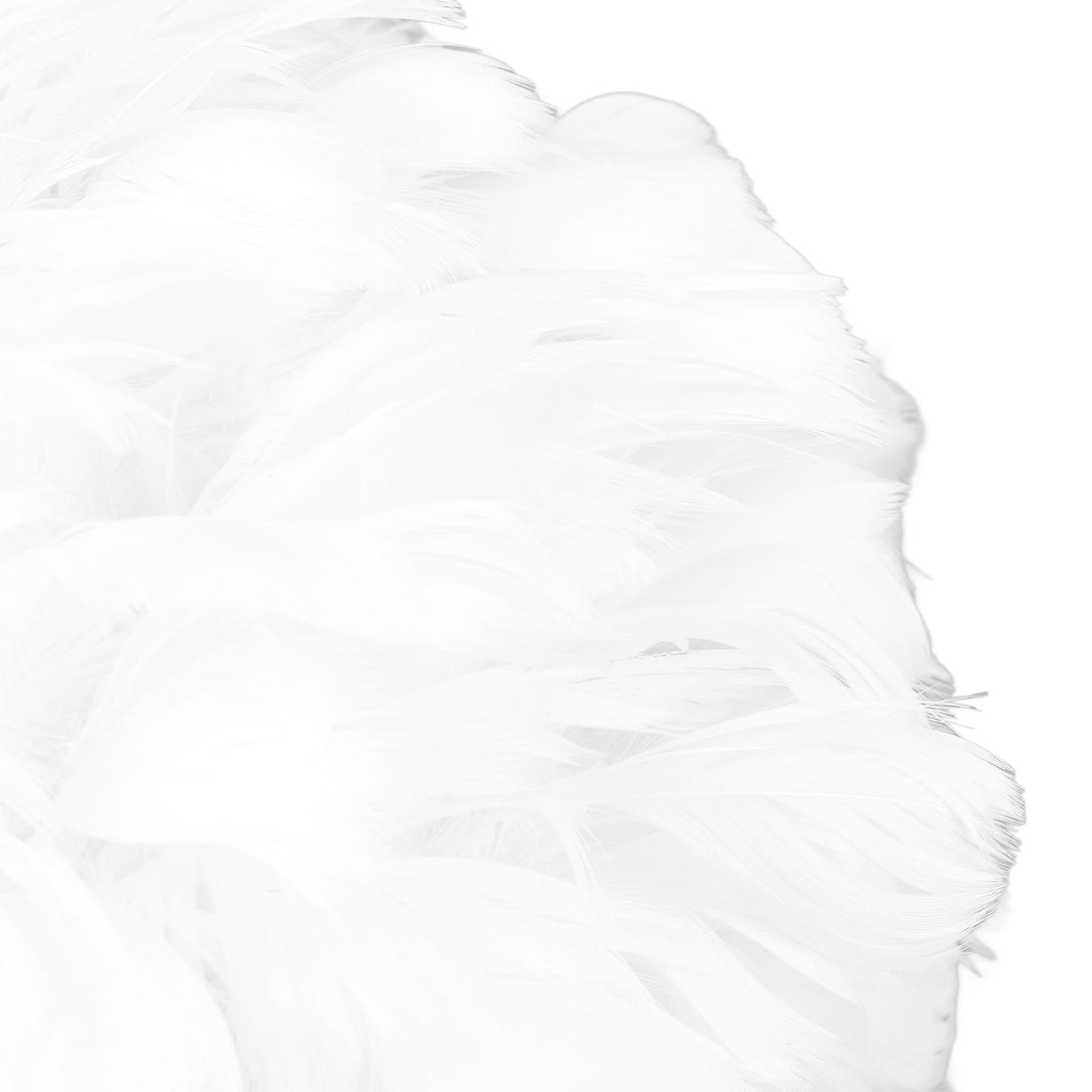 Feather Table Lamp USB Type C 5V Touch Control Stepless Dimming LED Table Lamp for Bedroom Cafe White
