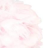 Feather Table Lamp USB Type C 5V Touch Control Stepless Dimming LED Table Lamp for Bedroom Cafe Pink