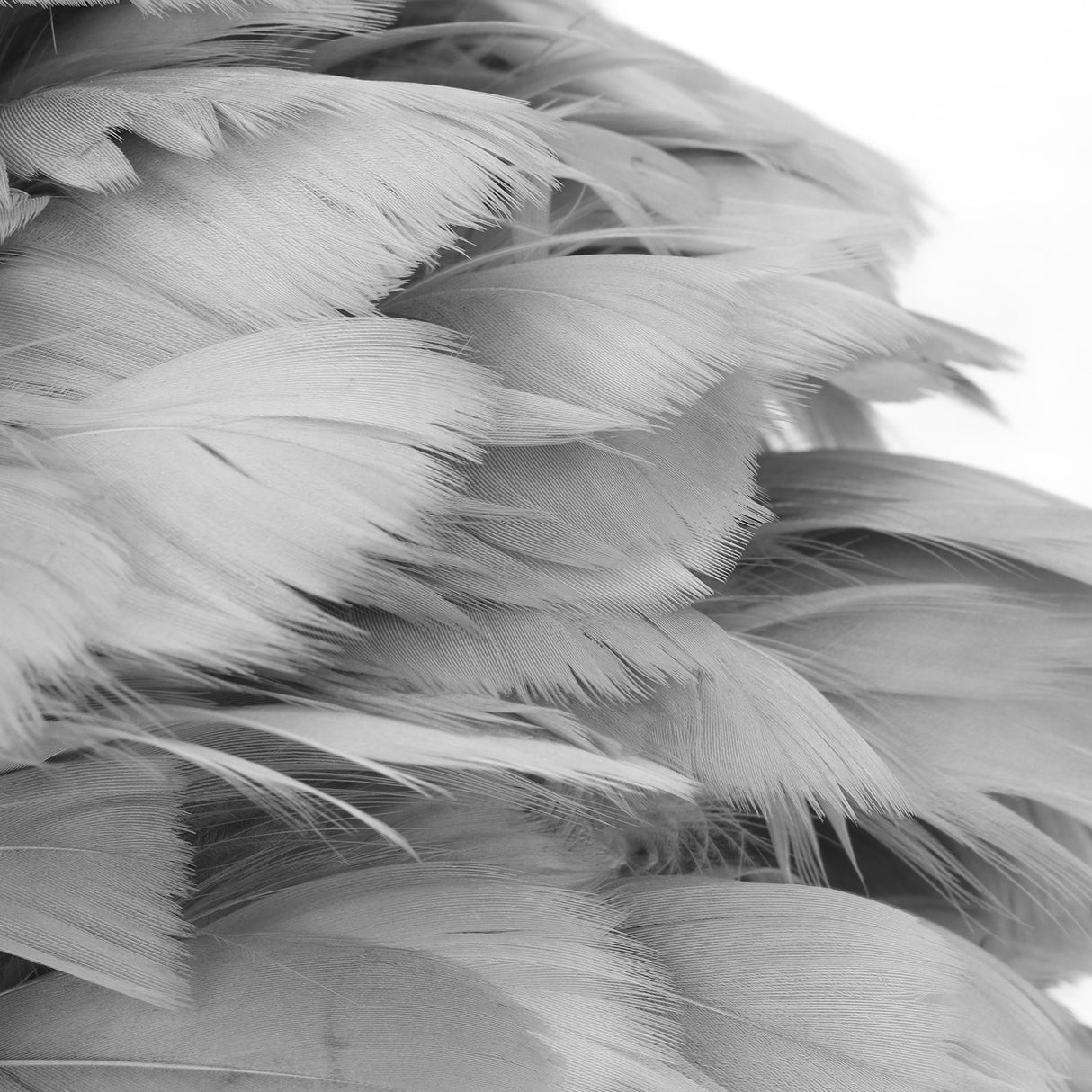 Feather Table Lamp USB Type C 5V Touch Control Stepless Dimming LED Table Lamp for Bedroom Cafe Grey