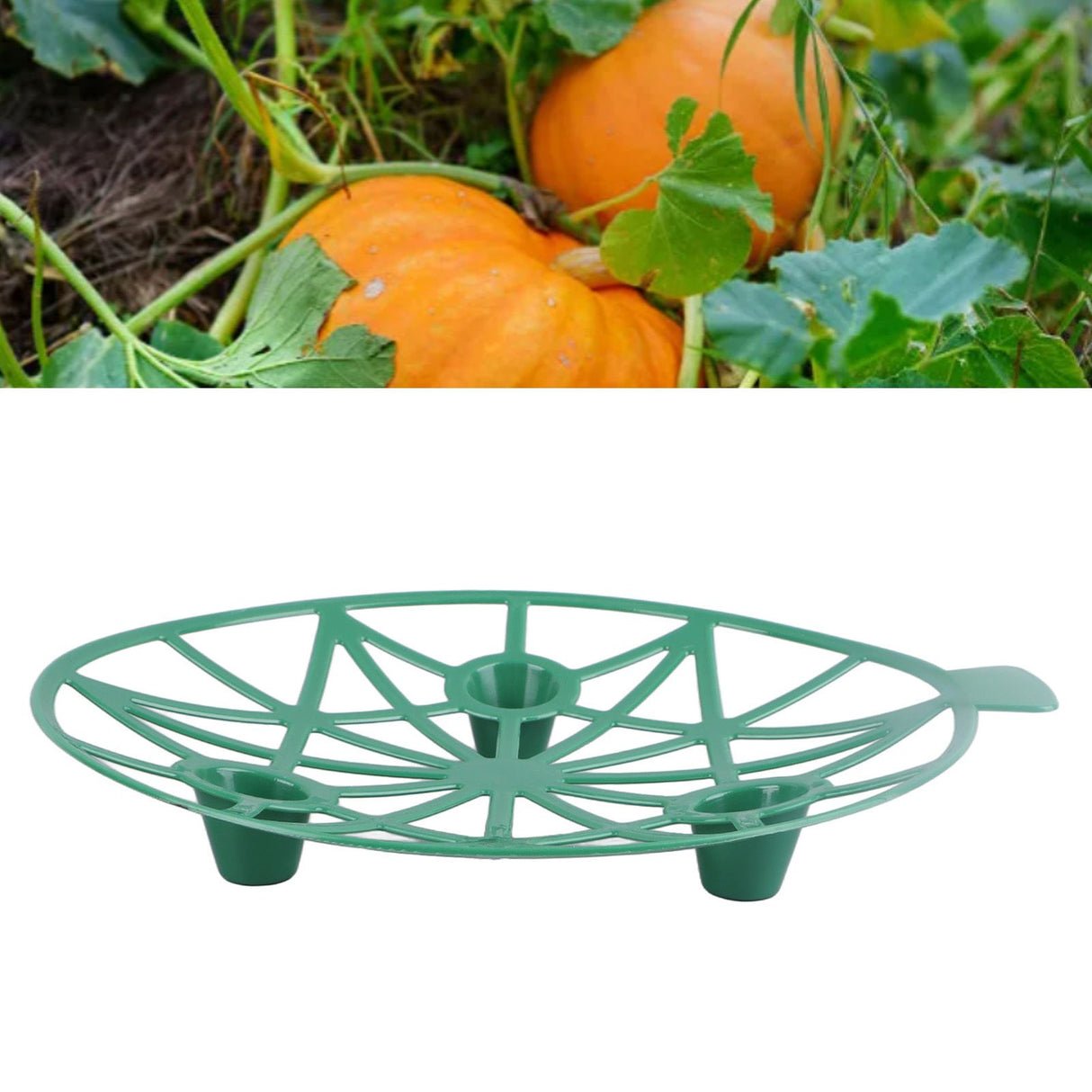10Pcs Watermelon Stand Melon Cradle Strawberry Pumpkin Support Holder for Garden Farm