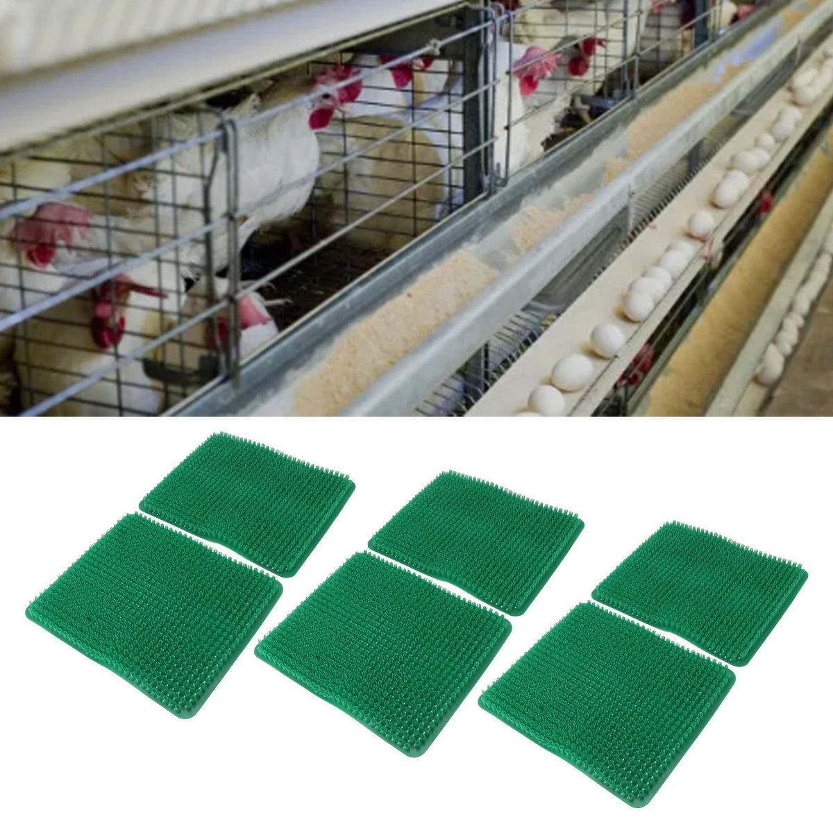 6 Pcs Chicken Nesting Box Pads PE Chicken Nesting Pads for Coop Chicken Egg Laying Accessory Green