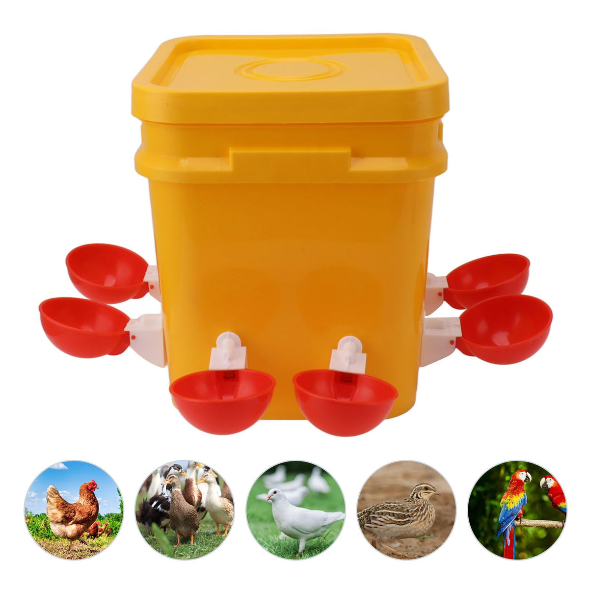 Automatic Chicken Waterer Cup with 12L Handheld Barrel Poultry Drinking Equipemnt for Goose Duck Bucket + Big Red Bowl + Black Screws