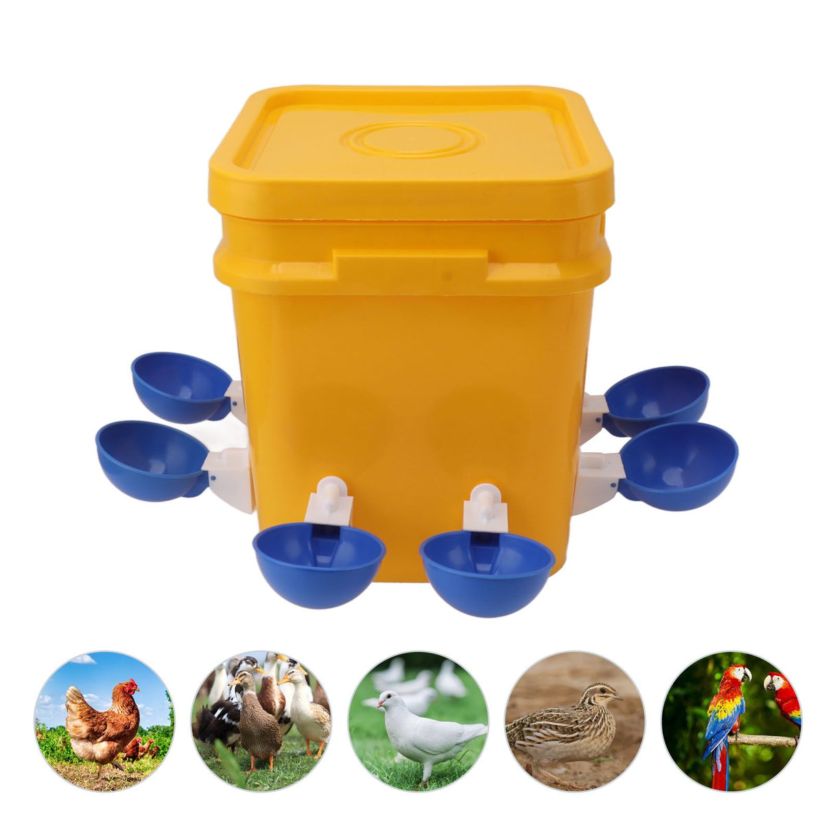 Automatic Chicken Waterer Cup with 12L Handheld Barrel Poultry Drinking Equipemnt for Goose Duck Bucket + Big Blue Bowl + Black Screws