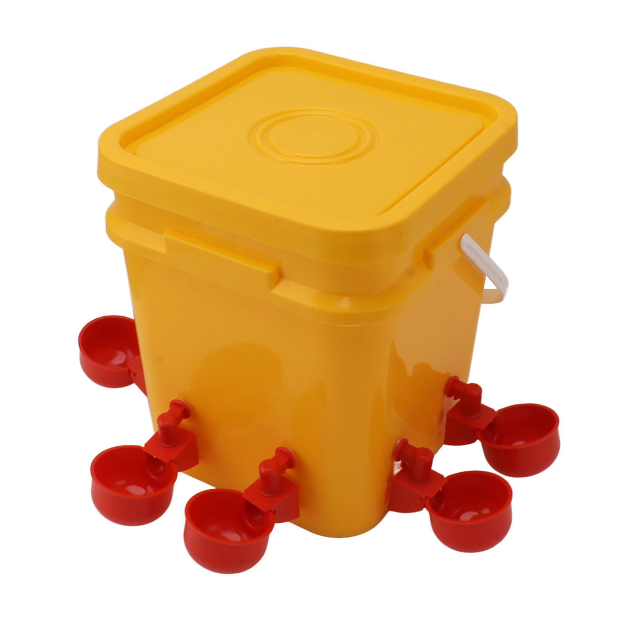 Automatic Chicken Waterer Cup with 12L Handheld Barrel Poultry Drinking Equipemnt for Goose Duck Bucket + Conjoined Red Bird Bowl+ Black Screws
