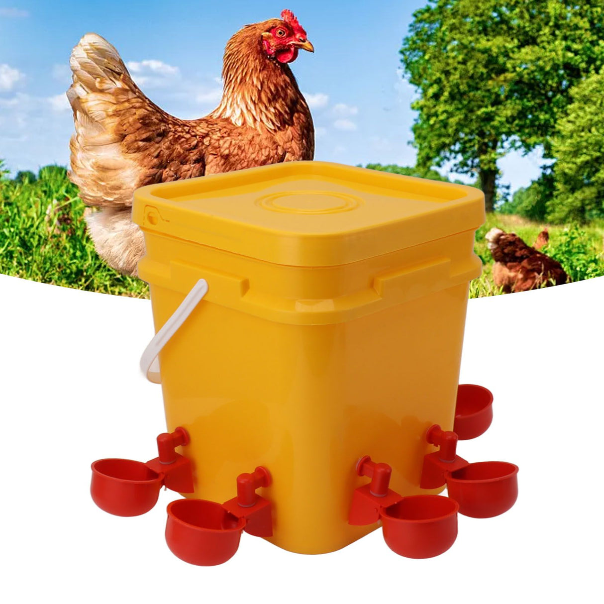Automatic Chicken Waterer Cup with 12L Handheld Barrel Poultry Drinking Equipemnt for Goose Duck Bucket + Conjoined Red Bird Bowl+ Black Screws