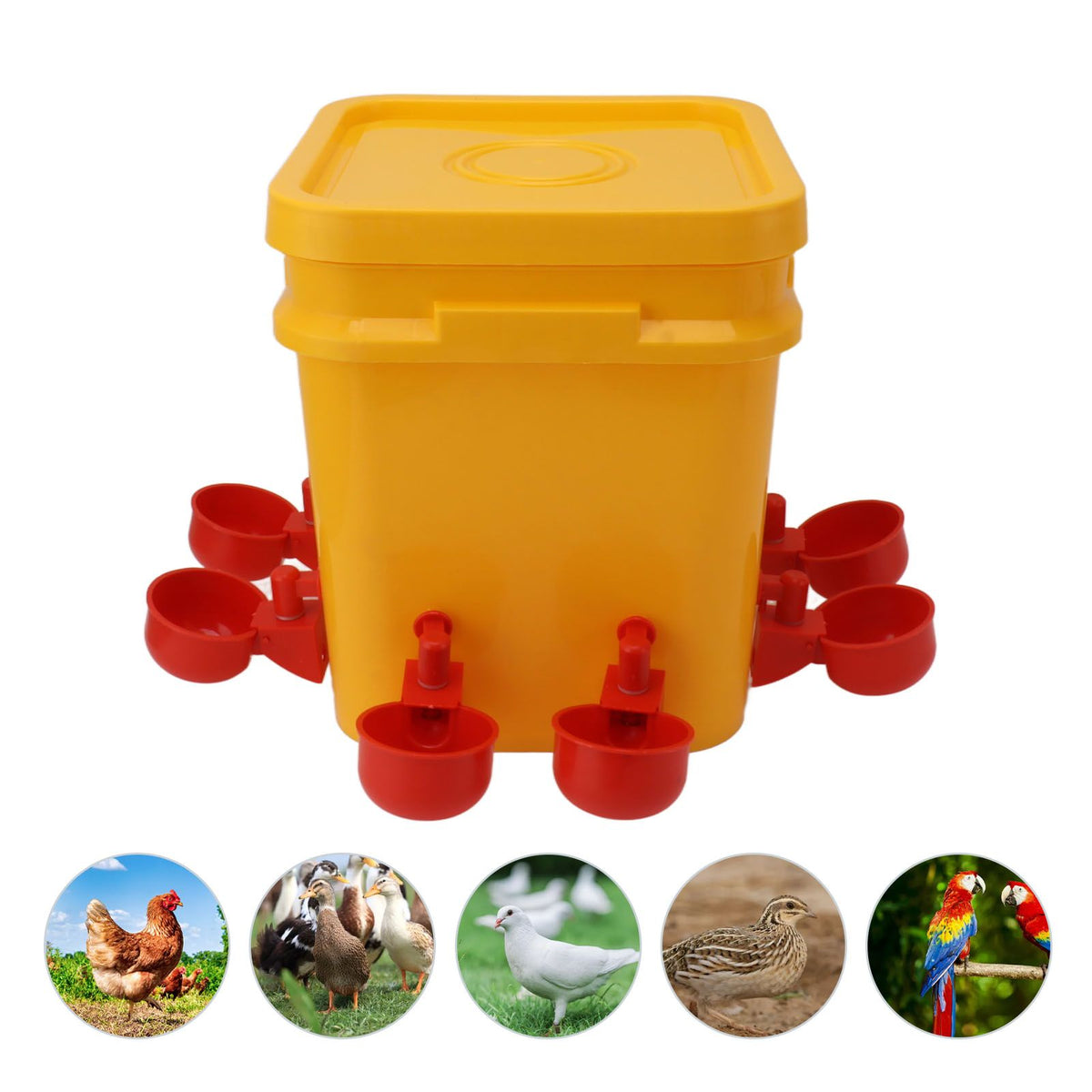 Automatic Chicken Waterer Cup with 12L Handheld Barrel Poultry Drinking Equipemnt for Goose Duck Bucket + Conjoined Red Bird Bowl+ Black Screws