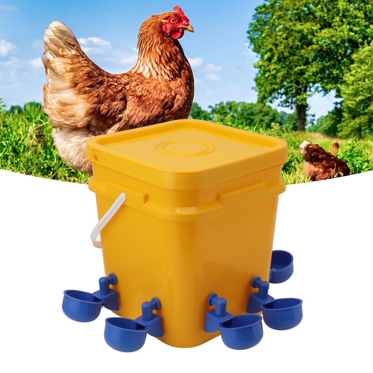 Automatic Chicken Waterer Cup with 12L Handheld Barrel Poultry Drinking Equipemnt for Goose Duck Bucket + Blue Bird Bowl + Black Screws