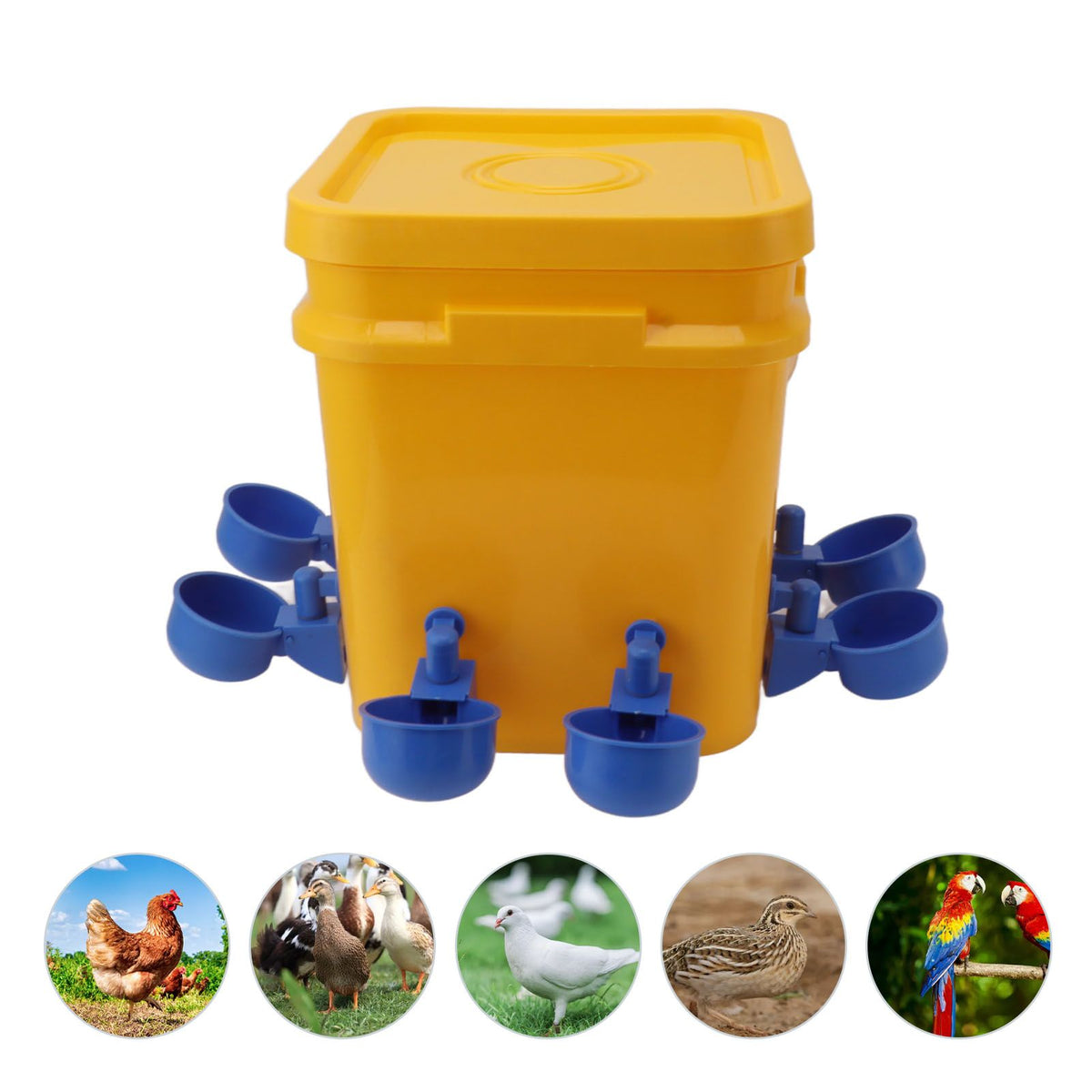 Automatic Chicken Waterer Cup with 12L Handheld Barrel Poultry Drinking Equipemnt for Goose Duck Bucket + Blue Bird Bowl + Black Screws
