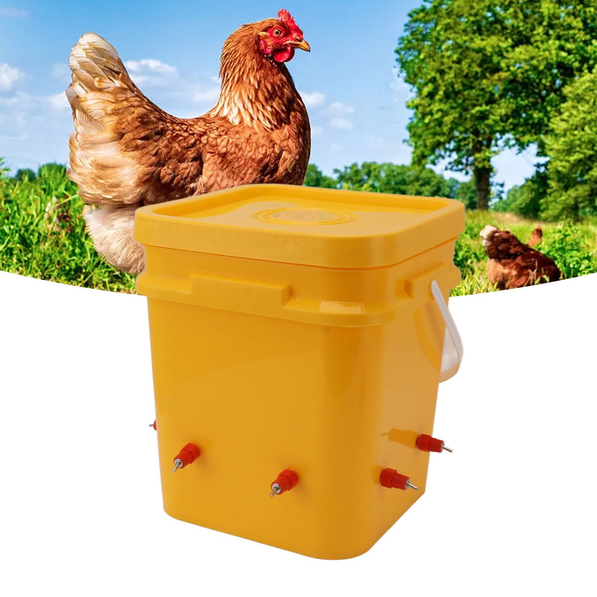 Automatic Chicken Waterer Cup with 12L Handheld Barrel Poultry Drinking Equipemnt for Goose Duck Bucket + Butt Red Head