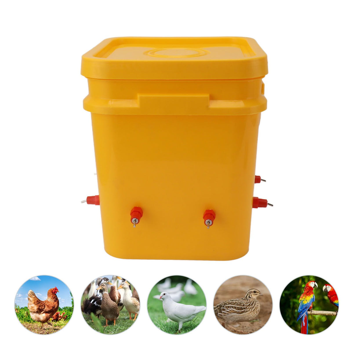 Automatic Chicken Waterer Cup with 12L Handheld Barrel Poultry Drinking Equipemnt for Goose Duck Bucket + Butt Red Head