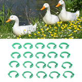 100pcs Chicken Identification Leg Bands Adjustable DIY Clip On Duck Bands for Geese Pigeons Green - Extra Image