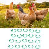 100pcs Chicken Identification Leg Bands Adjustable DIY Clip On Duck Bands for Geese Pigeons Green - Extra Image