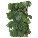 Artificial Hedges Fence Simulation Expandable Sun Protection Waterproof Artificial Topiary Hedge Plant for Garden Begonia Leaf - Low Angle