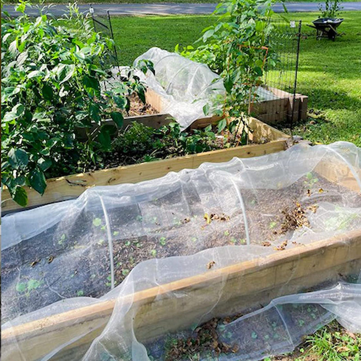 Greenhouse Hoops Grow Tunnel Insect Repellent Animal Protection Plant Shade Support Garden Stakes