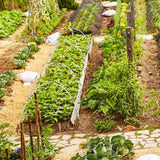 Greenhouse Hoops Grow Tunnel Insect Repellent Animal Protection Plant Shade Support Garden Stakes - Extra Image