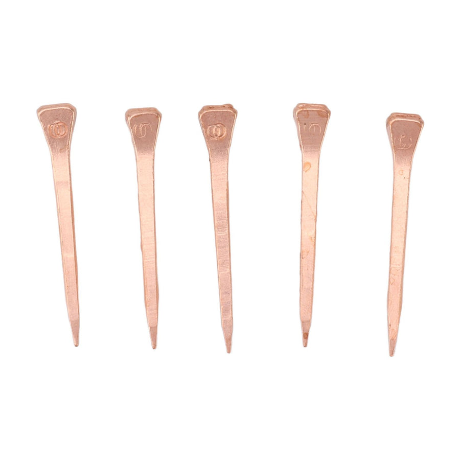 250Pcs Horseshoe Nails Copper Plated Rustproof Equestrian Riding Equipment Pet Supplies 45mm E3