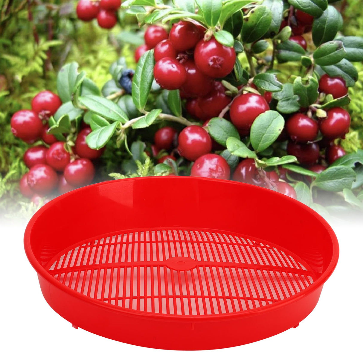 Plastic Blueberry Sieve Washing Sieve Fruit and Vegetable Washing Basket Drain Basket for Kitchen