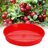 Plastic Blueberry Sieve Washing Sieve Fruit and Vegetable Washing Basket Drain Basket for Kitchen