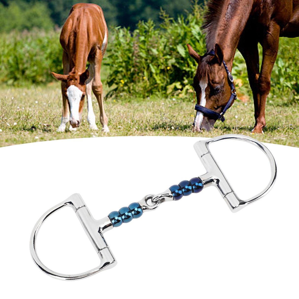 Horse Bit Stainless Steel 125mm Anti Biting Horse Mouth D Ring Snaffle Bit for Horse Farm