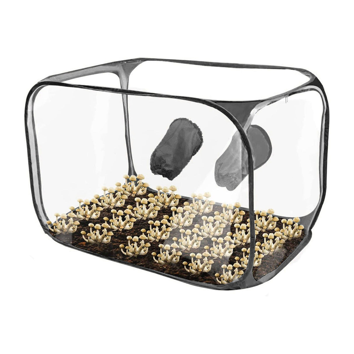 Mushroom Growing Still Air Box Portable Foldable Pop Up PVC Mushroom Container Set