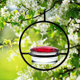 Beautiful Circular Hanging Hummingbird Feeder Outdoor Hanging Humming Bird Feeder 1pc