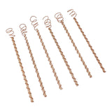 6PCS Electroculture Stakes Stable Support Garden Antenna Copper Coil for Growing Garden Plants Fruits Vegetables - Close-Up Angle