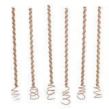 6PCS Electroculture Stakes Stable Support Garden Antenna Copper Coil for Growing Garden Plants Fruits Vegetables