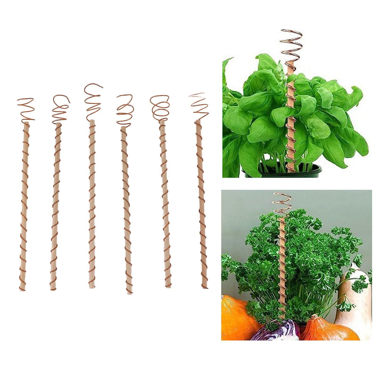6PCS Electroculture Stakes Stable Support Garden Antenna Copper Coil for Growing Garden Plants Fruits Vegetables